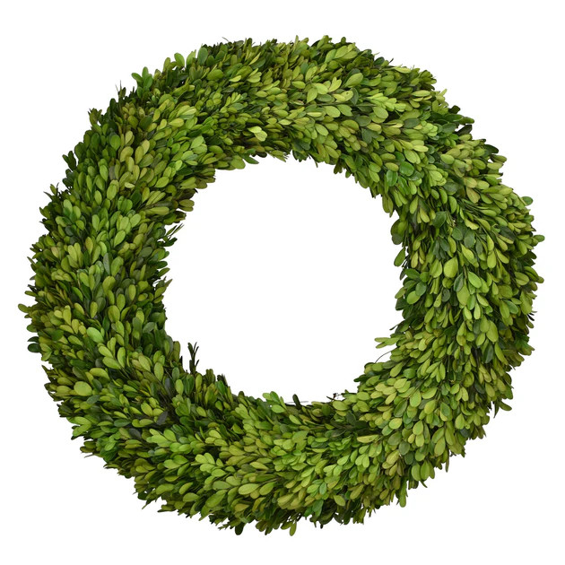Preserved Boxwood Wreath | Cailini Coastal