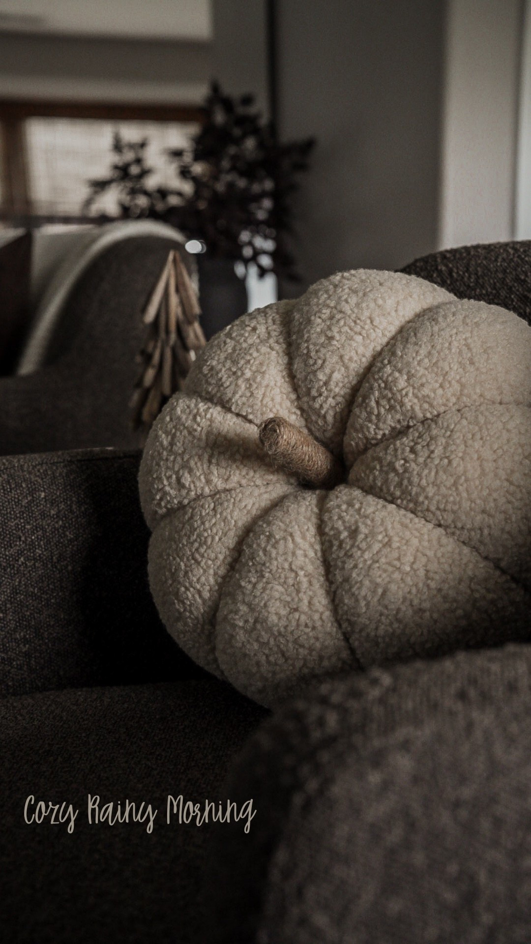 Cozy autumn decor 


•home decor •neutral decor •organic modern home •moody decor •autumn decor •fall decor •moody fall decor •moody autumn decor 

#LTKSeasonal #LTKFamily #LTKHome