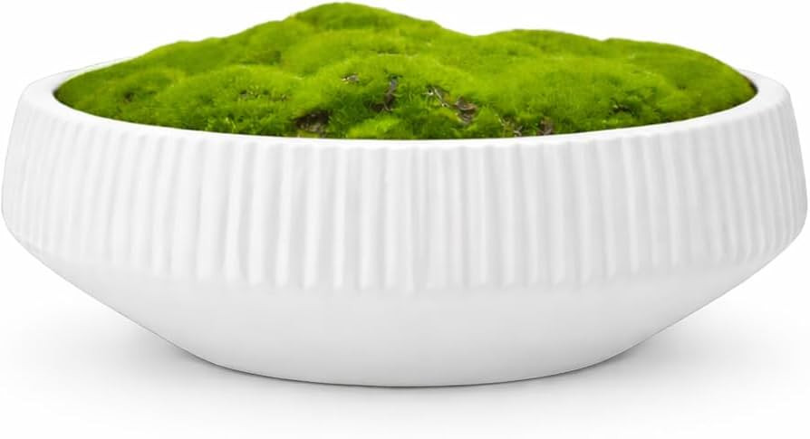 Fluted Ceramic Moss Bowl | 12 Inch Matte White | Artificial Moss Centerpiece | Modern Decorative ... | Amazon (US)