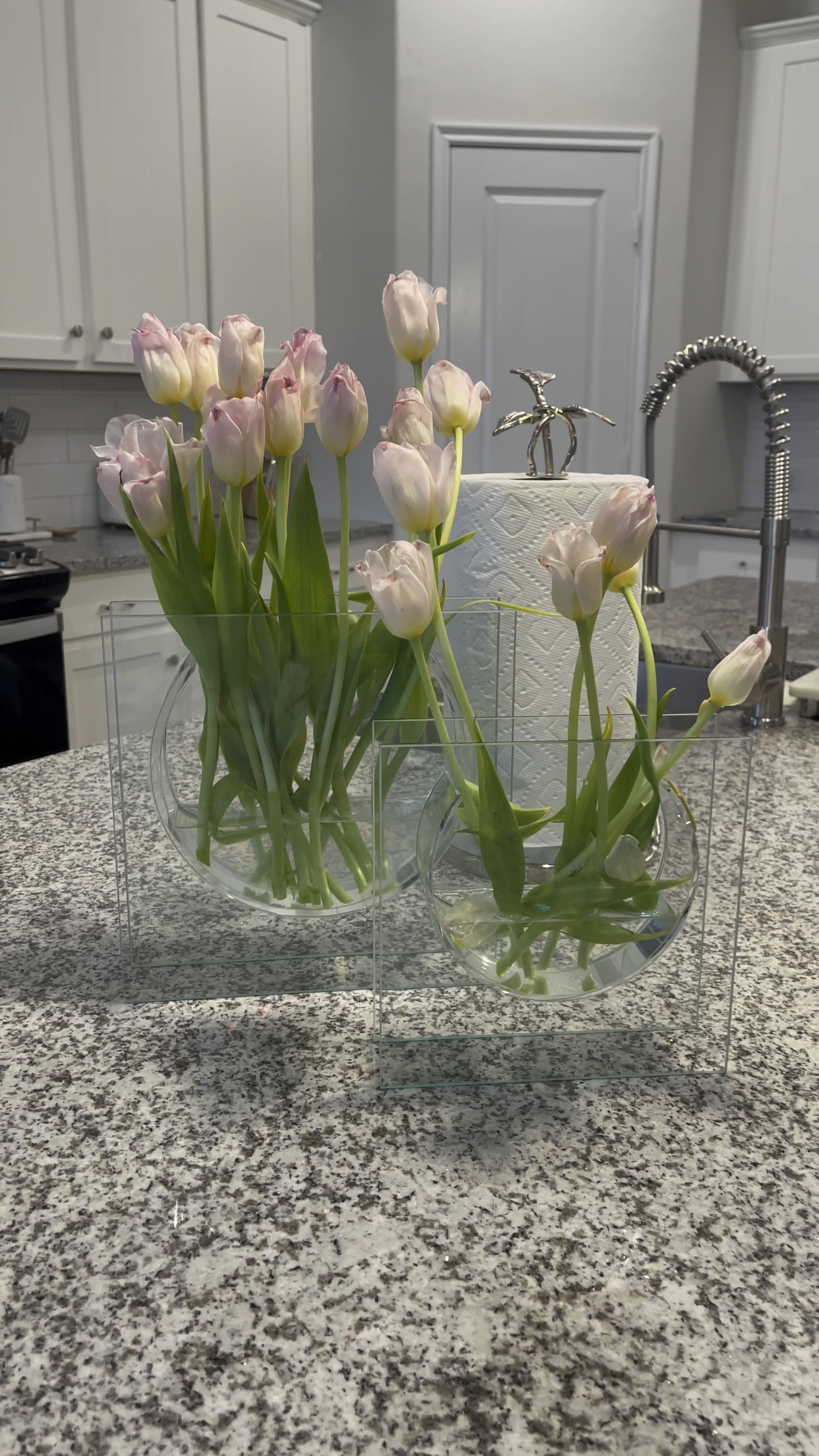 I love flowers and surprisingly never have vases for them! I usually use mason jars, but wanted something more glam and found these stunning modern vases from @zgallerie ✨ The Solaris Vase comes in a small and large size and they are pretty affordable compared to their Ellipse Vase which is on my non-immediate wishlist lol. I also tried using ice for my tulips and they perked right up by the next morning! 🌷 

Do you have a favorite floral vase or are you like me and improvise? 😂

#LTKhome
