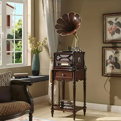 Retro Brown Decorative Media Players | Wayfair North America