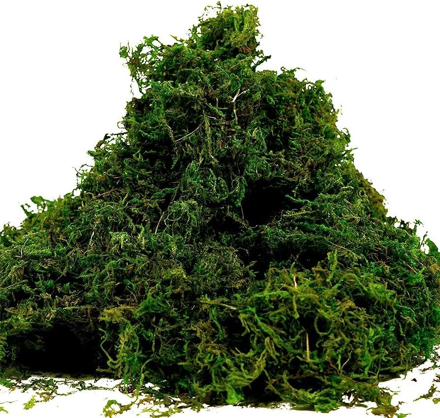 Farmoo Fake Moss for Crafts, Artificial Green Moss for Potted Plants Centerpieces Decor (3.5OZ) | Amazon (US)