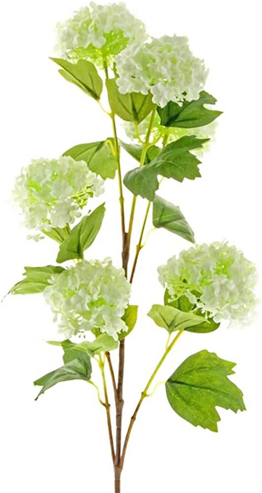 Floristrywarehouse Artificial Snowball Viburnum 38 Inches 6 Heads Cream | Amazon (US)