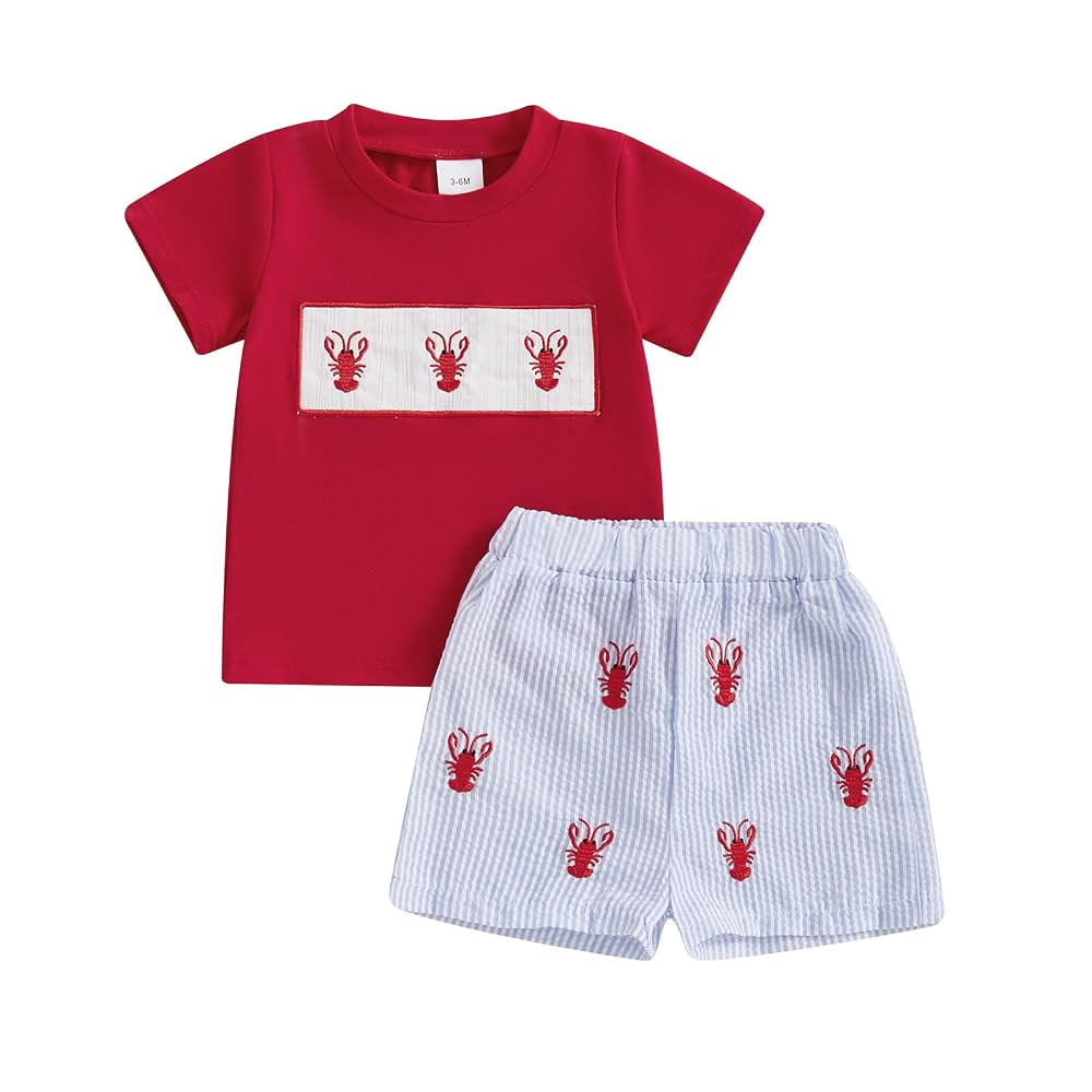 Toddler Baby Boy Clothes Summer Mallard Duck Goose Short Sleeve T-Shirt Tops Plaid Shorts 2Pcs Fa... | Amazon (US)