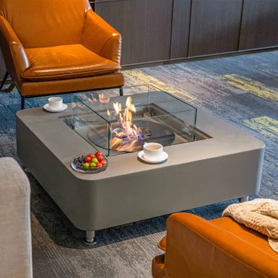 Brisseyda 14'' H x 40'' W Concrete Bio-ethanol Fuel Outdoor Fire Pit Table with Lid | Wayfair North America