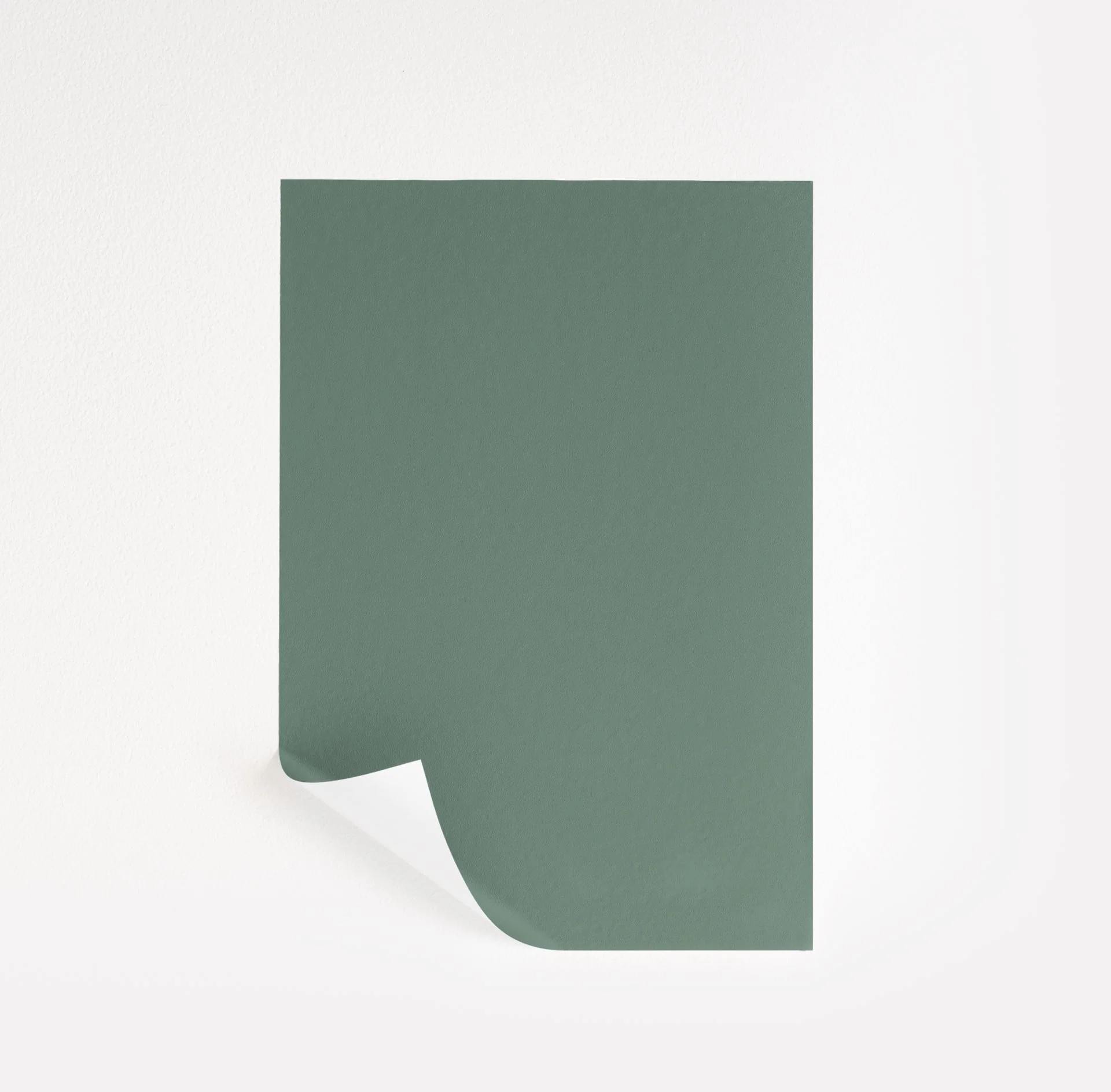 Cedar Mountains  Paint Sample | Samplize