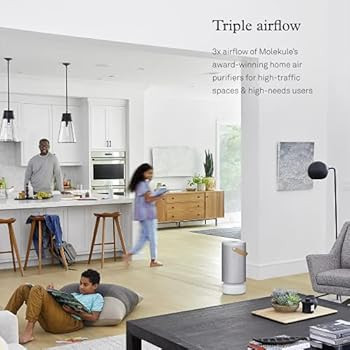 Molekule Air Pro FDA-Cleared Medical Air Purifier with PECO Technology for Smoke, Allergens, Poll... | Amazon (US)