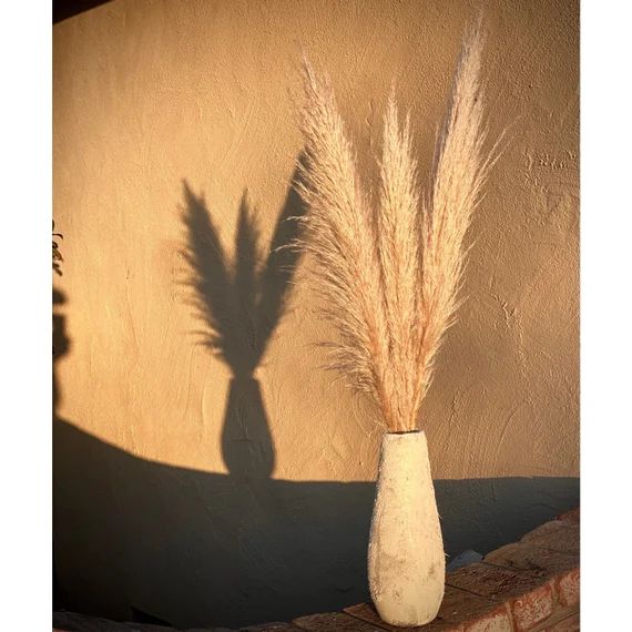 PAMPAS GRASS (3-5-10 ct) 2-6ft - Natural Dried Pampas Grass Decor, Reed Plume, Dry Boho Wedding F... | Etsy (US)
