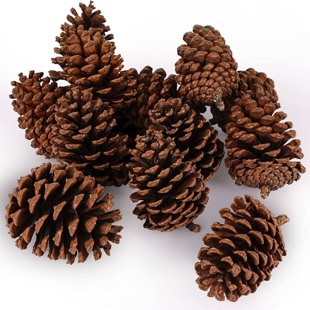 JOHOUSE 3.5-5Inch Natural Pine Cones, Large Pinecone,Christmas Natural Pinecone Ornaments Big Pin... | Amazon (US)