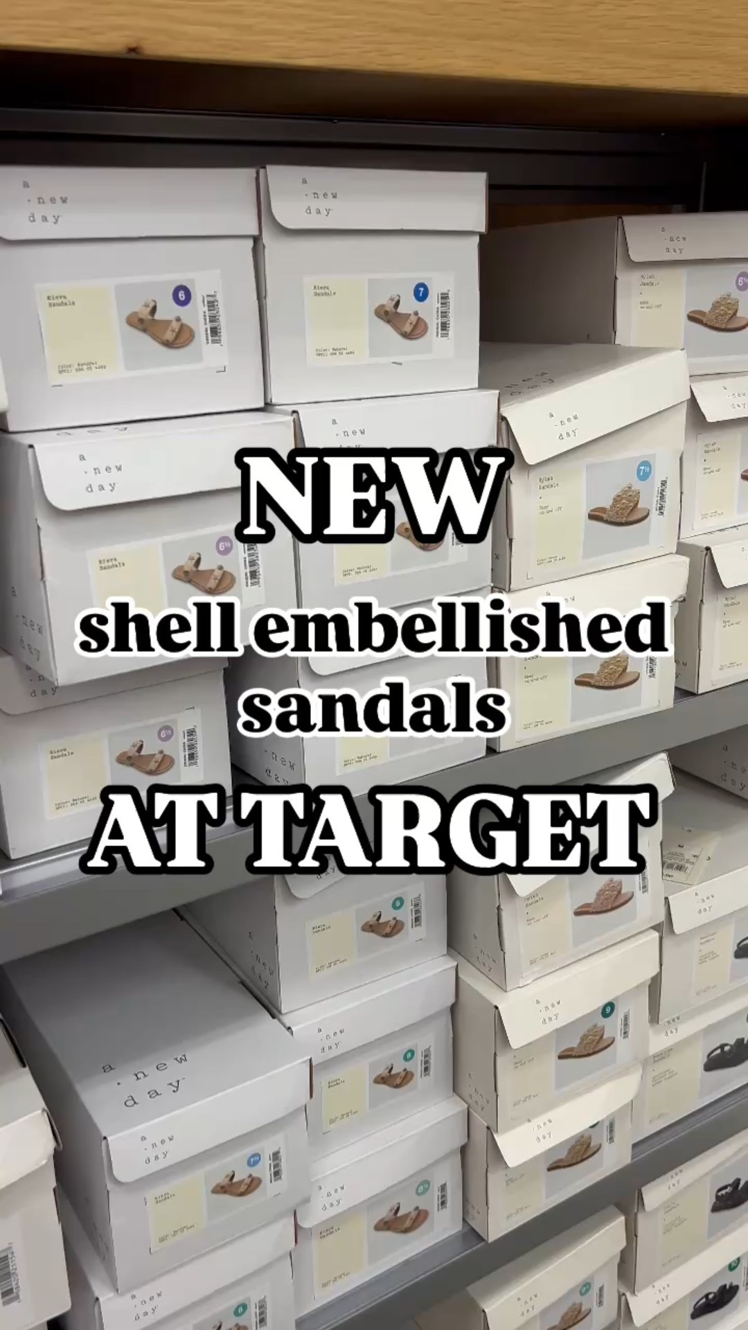 New shell embellished slides at Target 

#LTKShoeCrush #LTKWatchNow #LTKFindsUnder50