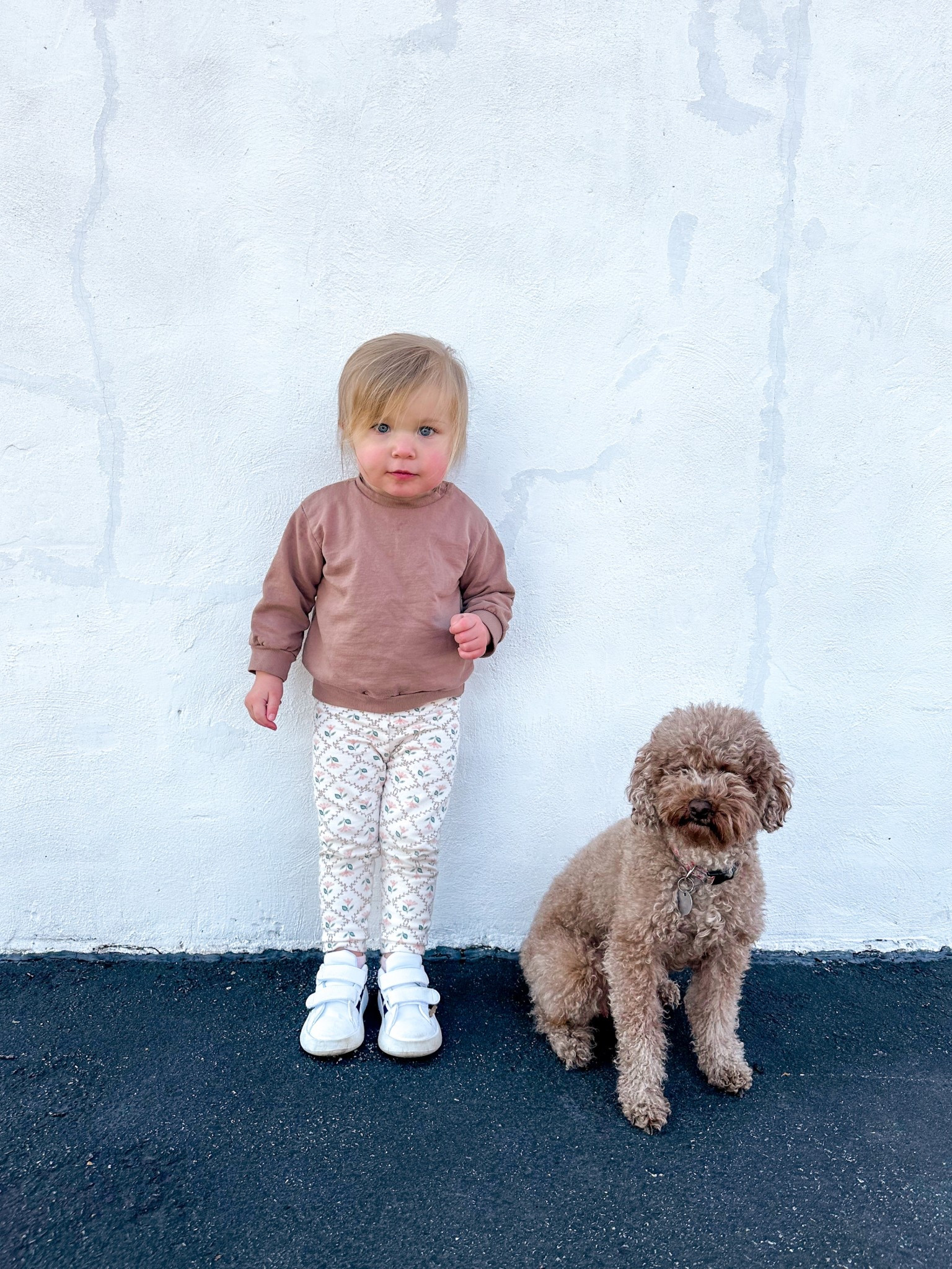 A little girl and her little bestie 🐶

spring | spring ootd | toddler ootd | toddler style 

#LTKKids #LTKFamily #LTKStyleTip