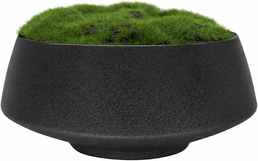 Black Ceramic Moss Bowl | 8 Inch | Artificial Moss Centerpiece | Decorative Table Bowl | Amazon (US)