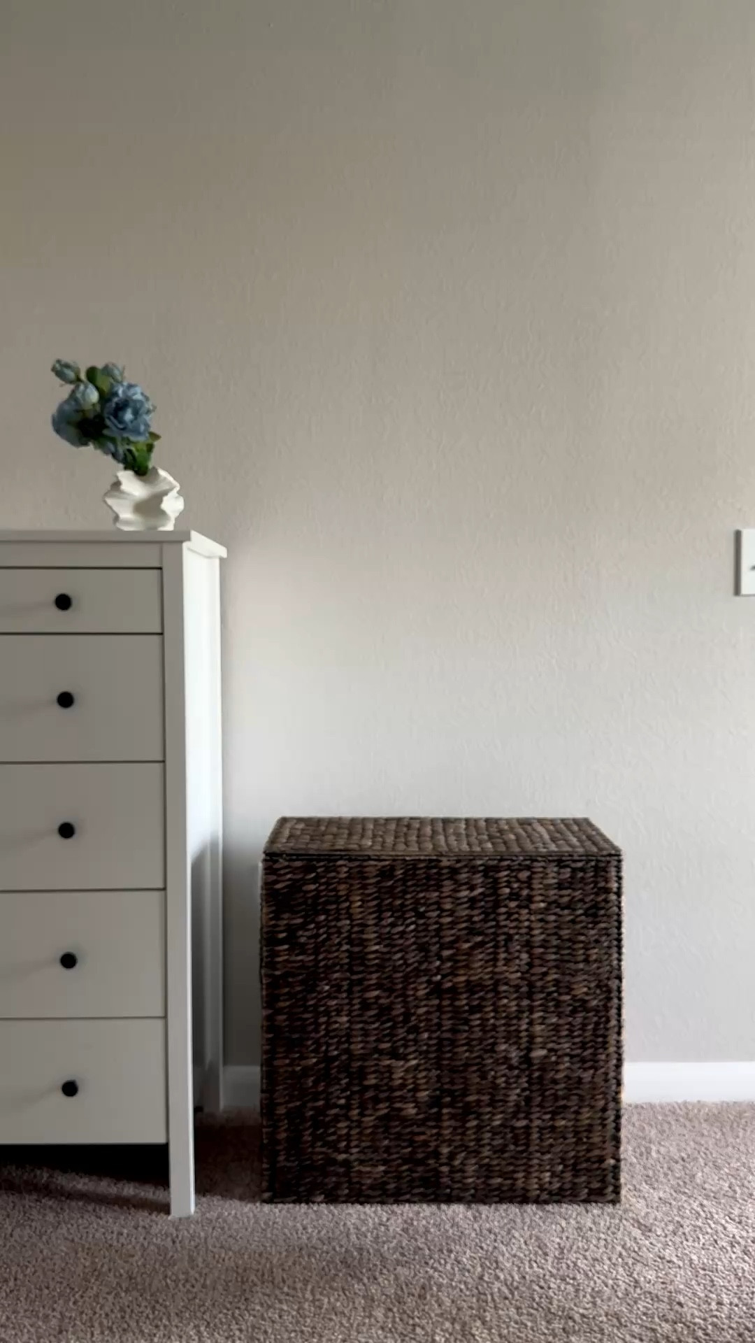 This hamper is part of the BirdRock Spring Deals event running March 1–31, and there’s a 20% coupon plus 20% deal available right now. If you’ve been looking for a stylish laundry solution, this is the perfect time.

#LTKSaleAlert #LTKMothersDay #LTKmomlife