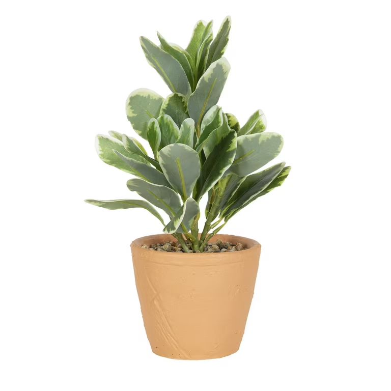 Mainstays 12” Artificial Variegated Leaf Plant in Terracotta Orange Cement Pot | Walmart (US)