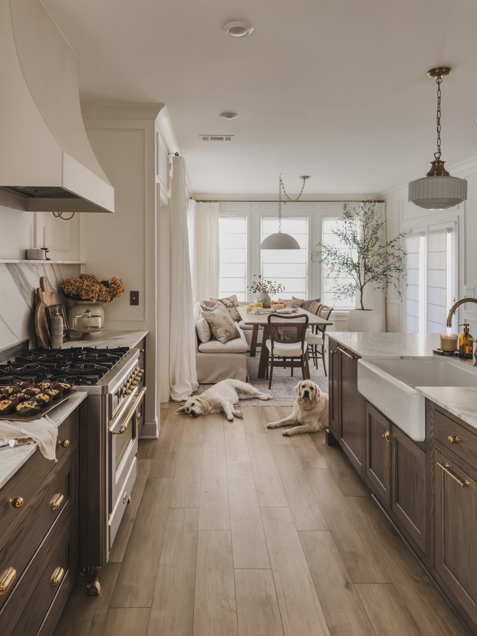 Cozying up around the breakfast nook for a family style Sunday breakfast. Loving the cozy yet refined look in the space - even the pups love gathering around.

Home finds, neutral home inspo, fall refresh, family style breakfast, breakfast nook, unlacquered brass, dining table, banquette, swag light, pendant details, linen curtain, roman shades, moody area rug, collected style, faux olive tree, Crate and Barrel, Visual Comfort, Loloi, Amber Lewis, Arhaus, McGee and Co, Wayfair, Pottery Barn style, shop the look!

#LTKHome #LTKSeasonal #LTKStyleTip