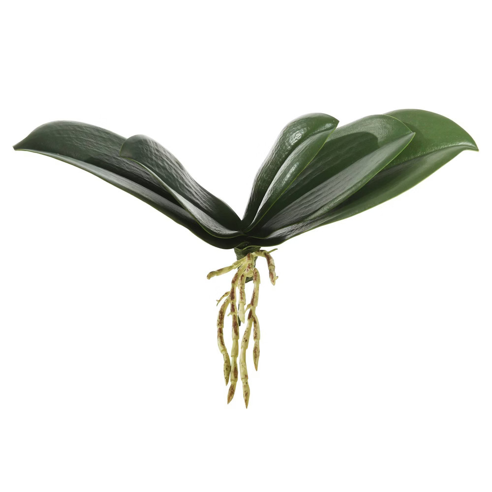 9.5"" 3pk Artificial Orchid Leaf - Vickerman | Target