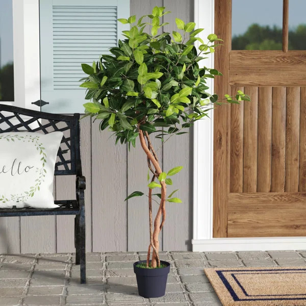 Camellia 50" Artificial Cedar Tree in Pot | Wayfair North America