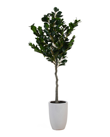 5ft Covered Outdoor Ficus Tree In Handmade Ceramic Pot | TJ Maxx
