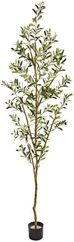 Amazon.com: Nearly Natural 82” Olive Artificial Silk Trees Green : Home & Kitchen | Amazon (US)