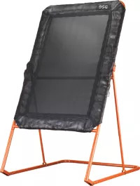 DSG Lacrosse Pro Rebounder | DICK'S Sporting Goods