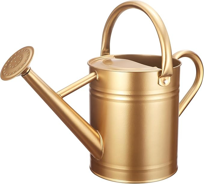 Watering Can for Outdoor Plants&Indoor Plants,Plant Watering Can 1 Gallon,Metal Flower Garden Wat... | Amazon (US)