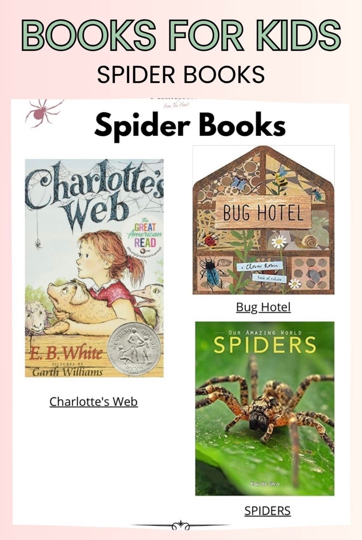 Spider Books for Kids

#LTKhome #LTKkids #LTKfamily