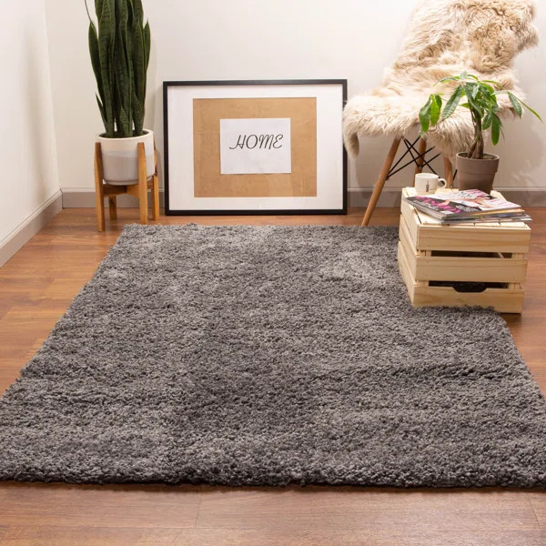 Debellis Shag Area Rug in Dark Gray | Wayfair North America