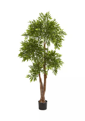 Nearly Natural Ruscus Tree Indoor/Outdoor, Green | Belk