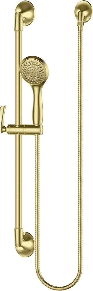 Pfister LG16-3RHBG Rhen Handshower with slidebar, Brushed Gold | Amazon (US)