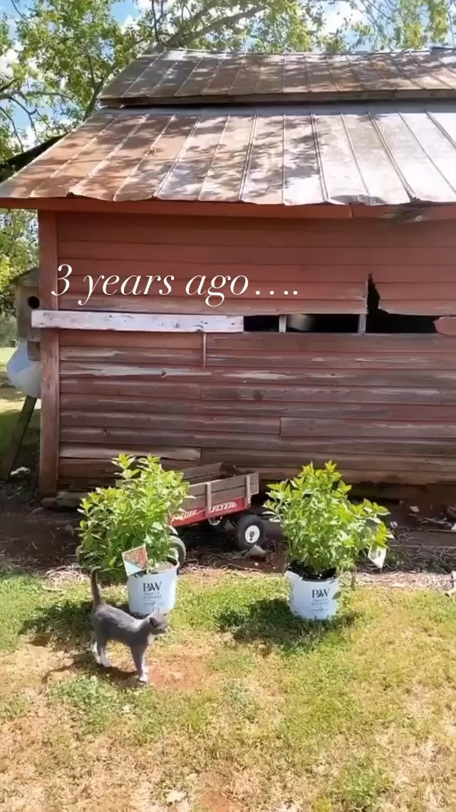 Outdoor gardening makeover

Planters  Flowerbeds Outdoor essentials  Gardening  Garden finds  Must haves  Outdoor decor  Farmhouse style  Household finds  AllieCrowe  Farmhouse4010

#LTKSeasonal #LTKHome #LTKWatchNow