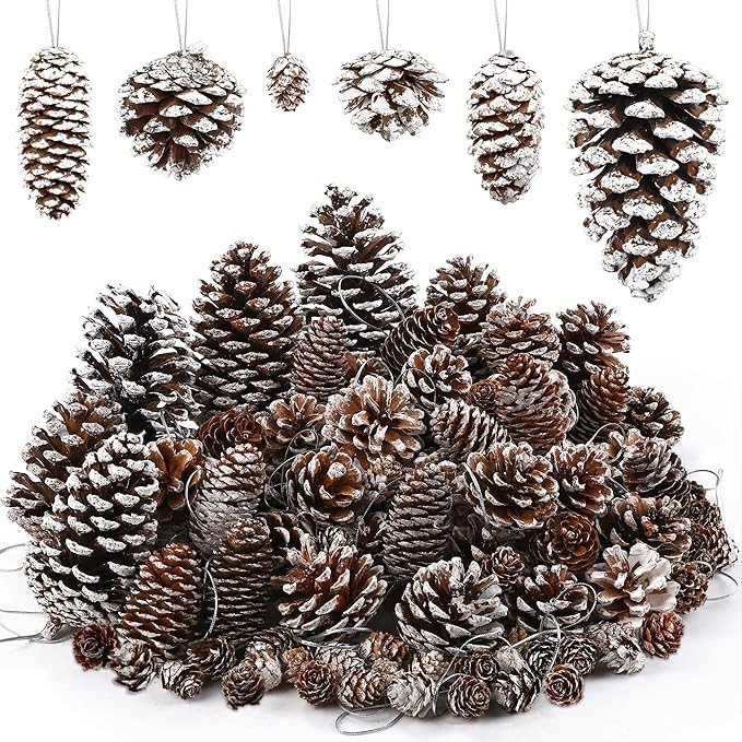 Fovths 66 Pieces Snow White Christmas Pine Cones Ornaments with String Natural Rustic Pine Cones ... | Amazon (US)