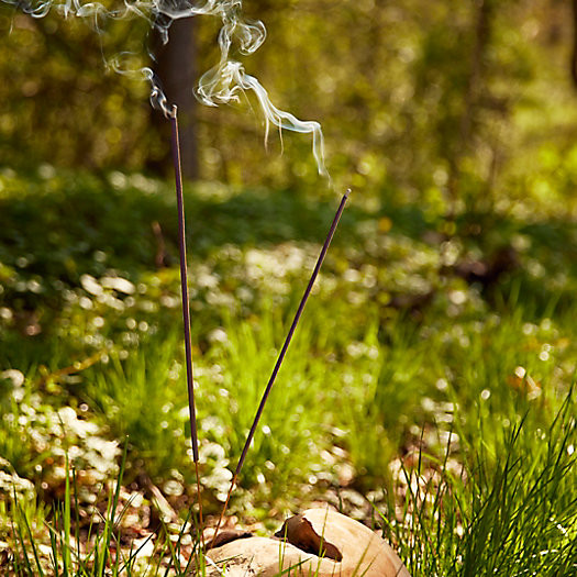 Madison James Flyaway Sticks, Pack of 40 | Terrain