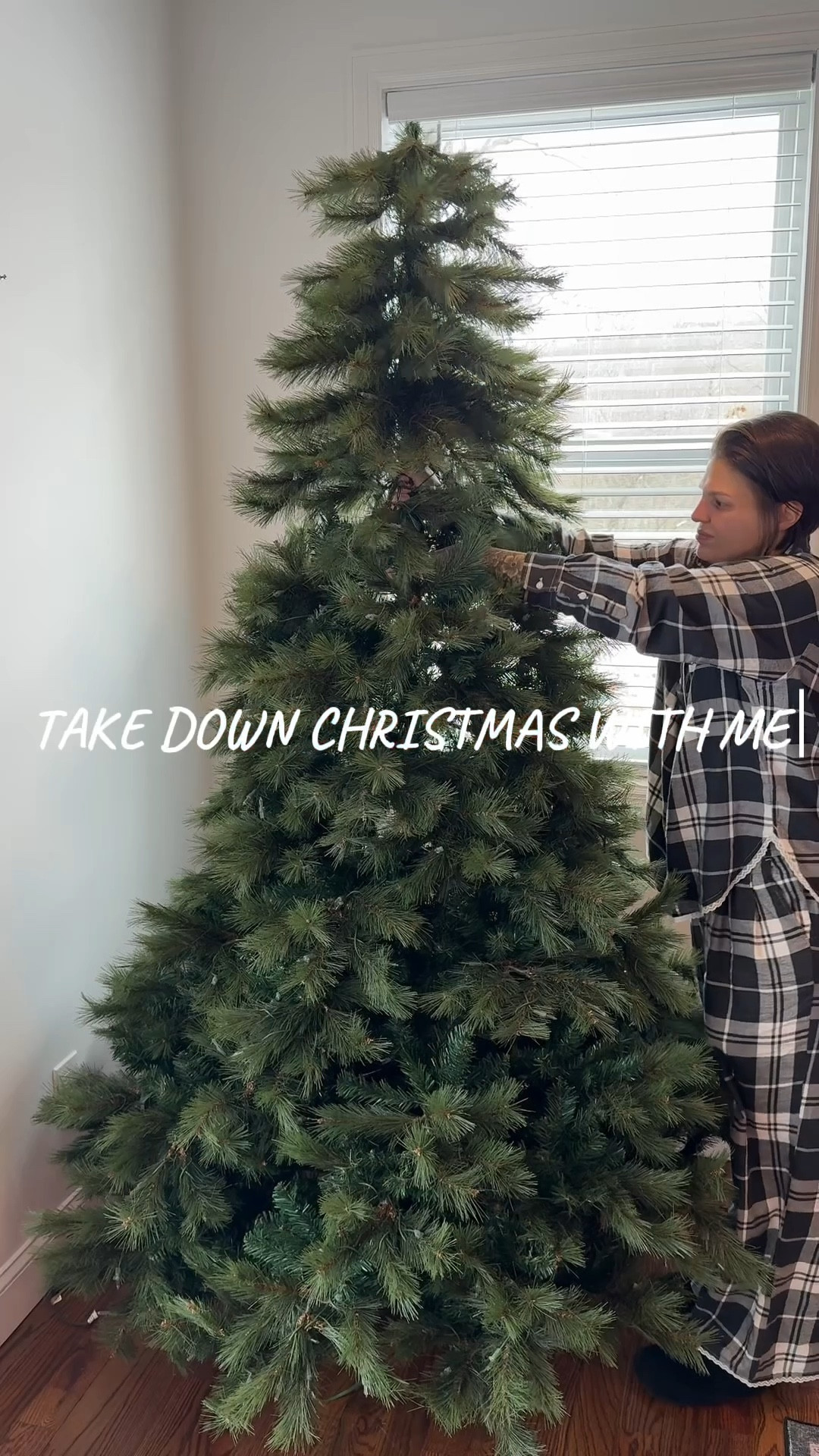 Saying goodbye to Christmas and Hello to a fresh clean home. It may have taken me all day but I’m happy to have my house back 🥰 

#LTKSeasonal #LTKHome #LTKFindsUnder100