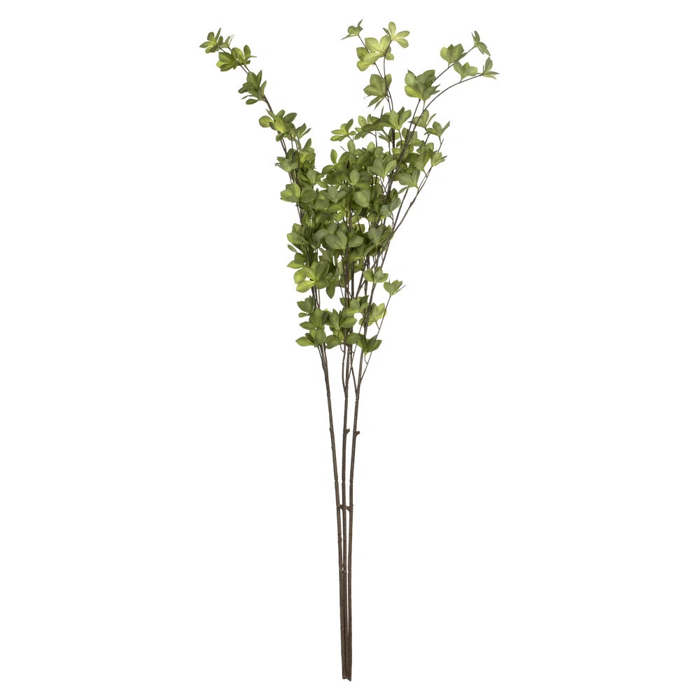 Castor Arrangement (Set of 3) | Wayfair North America