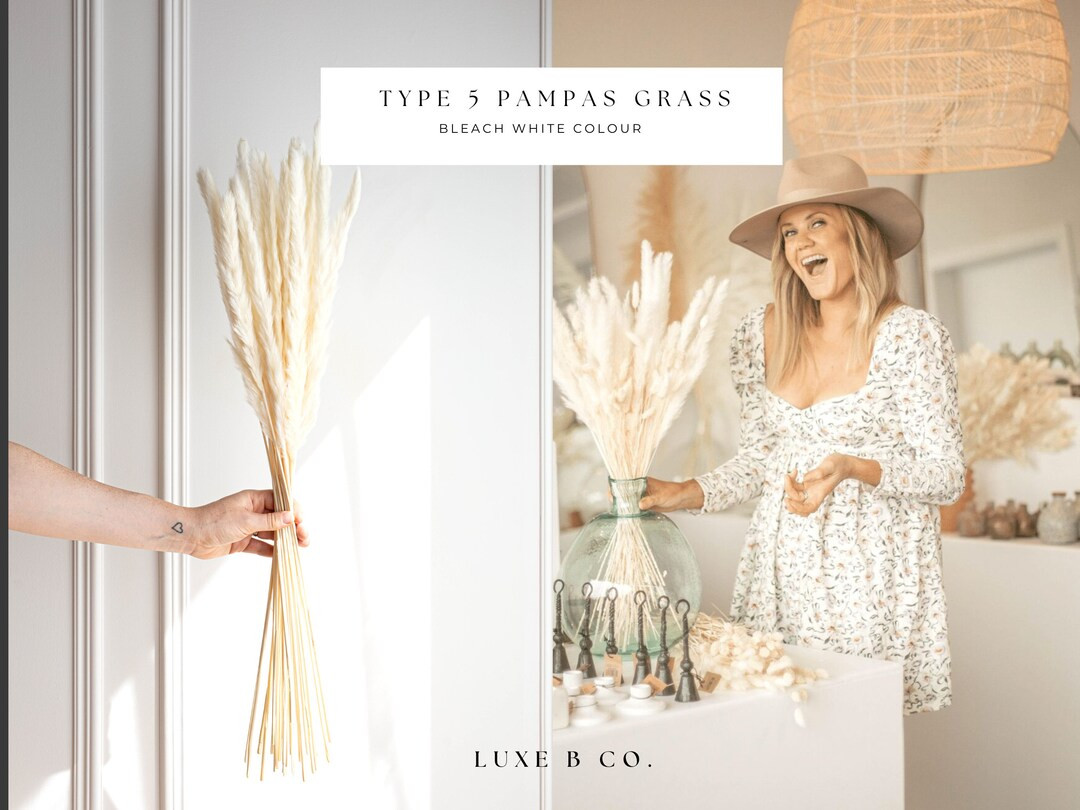 Pampas Grass Small Bleach White Dried Flowers  Luxe B Pampas - Etsy Canada | Etsy (CAD)