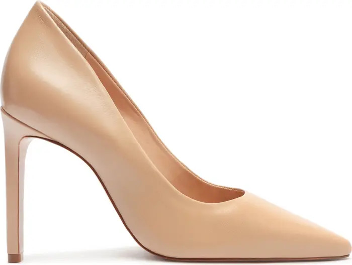 Lou Pointed Toe Pump (Women) | Nordstrom