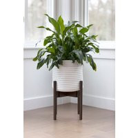 Indoor Plant Stand, Mid Century Espresso Planter With Tall Large Wood Stand | Etsy (US)