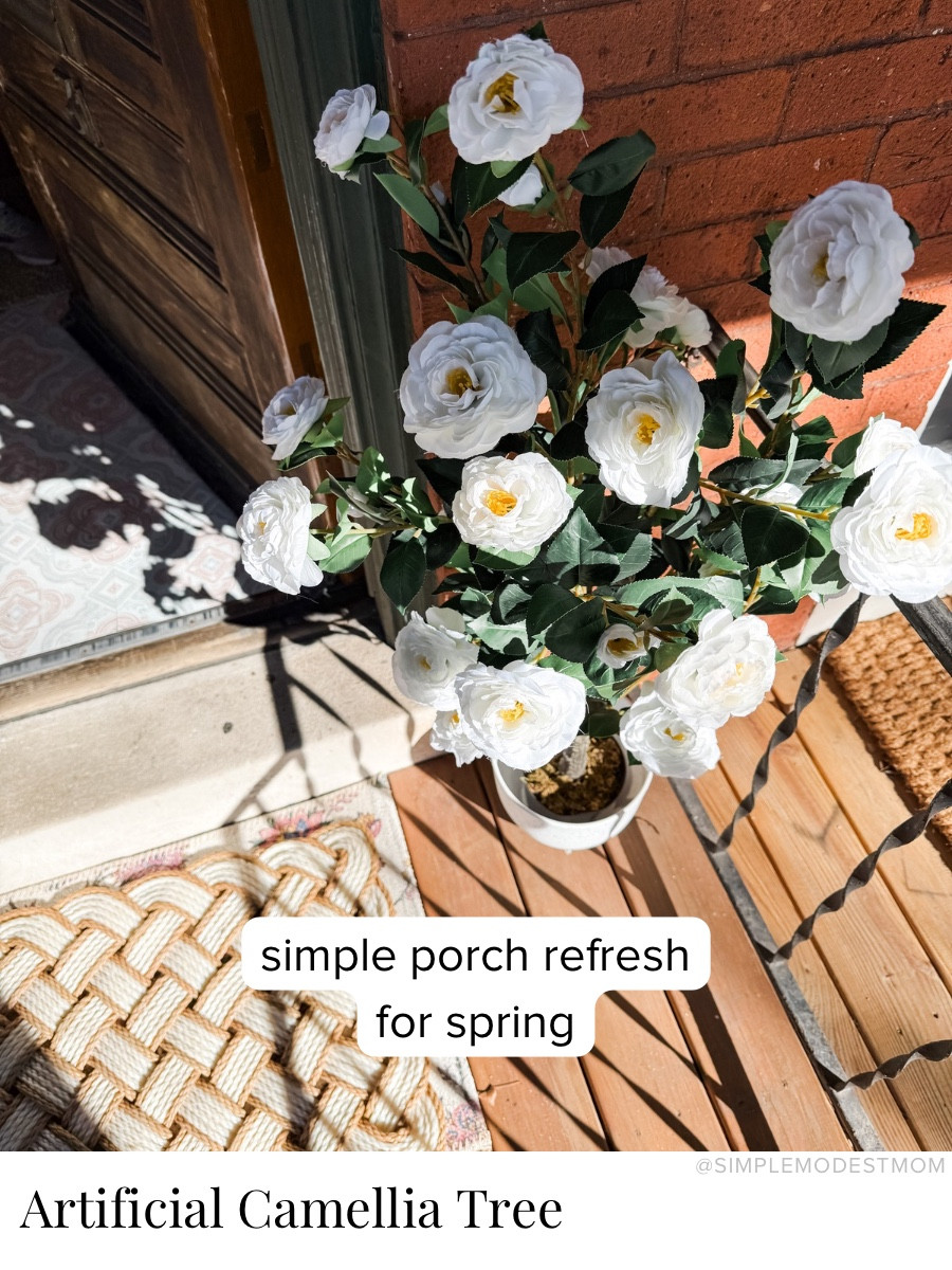 I had been searching for the perfect neutral porch refresh for spring and summer, and this camellia tree was exactly what I had in mind. The white blooms brighten up our front door area so beautifully.

#LTKSeasonal #LTKHome