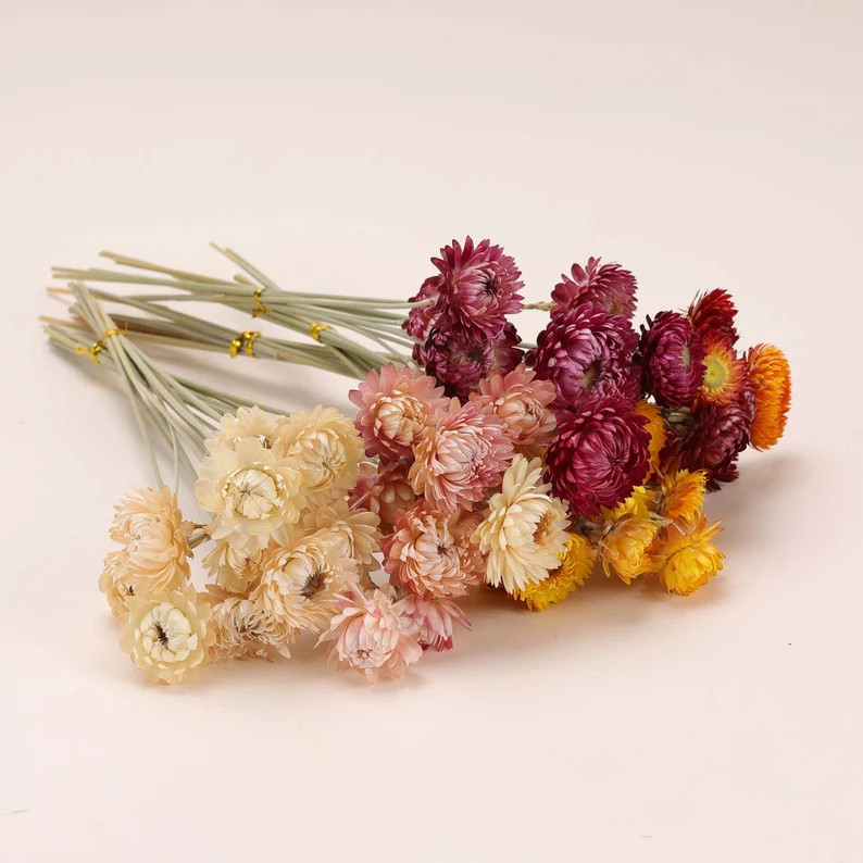 Dried Helichrysum Bouquet : Handmade Orange Wedding Flower Arrangement (10 Stems) - Etsy | Etsy (US)