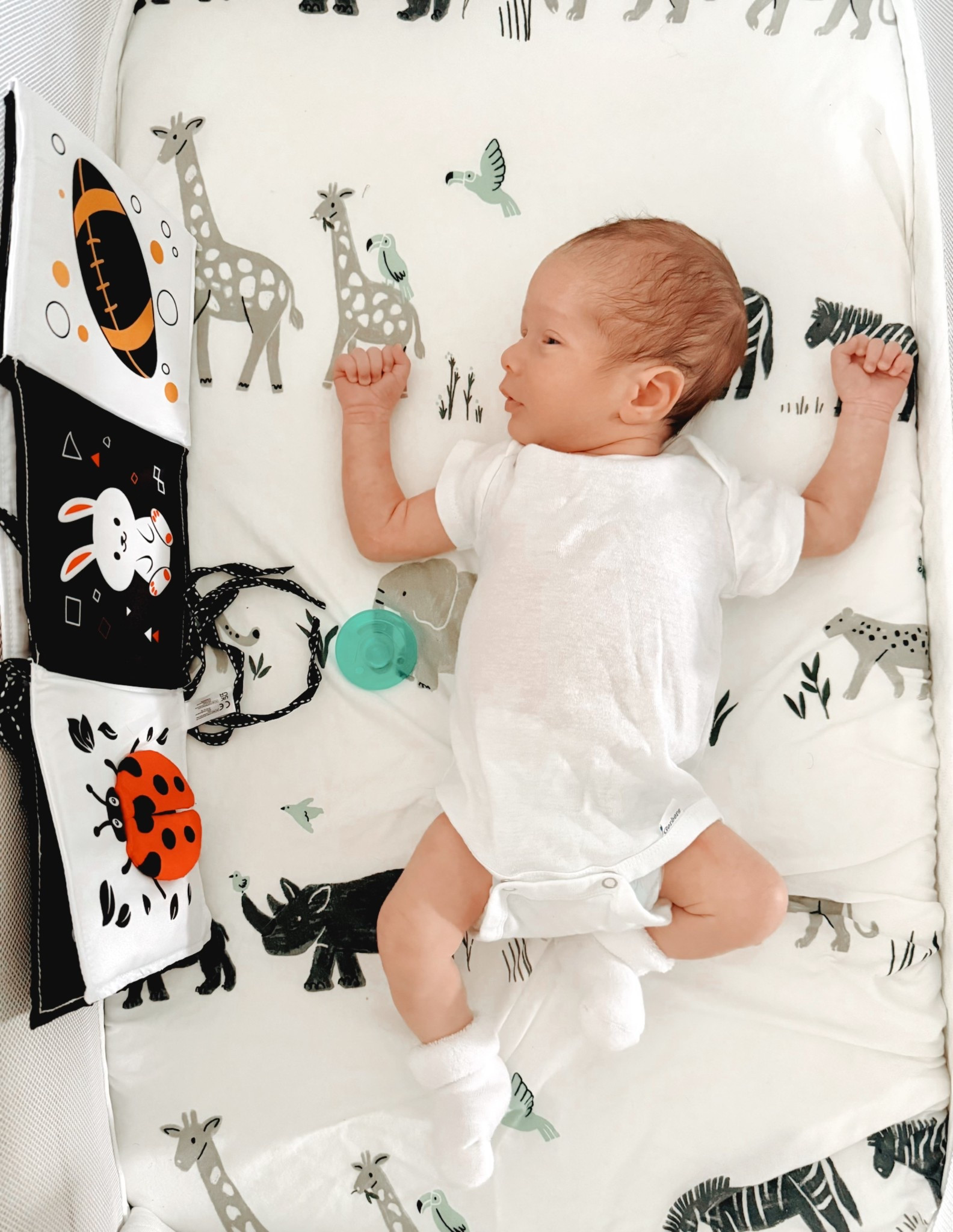 Newborn wake window must-haves 👶🏼✨
Here’s what we’re loving lately for those early moments of play + bonding:
🖤 High-contrast cloth book (for visual development)
🦓 Animal print crib sheet (super soft + stimulating!)
🧸 Cozy white onesie, baby socks, and pacifier 

Linking our newborn essentials on LTK!
#LTKbaby #newbornfinds #babymusthaves #waketimefun #momlife

#LTKBump #LTKBaby #LTKFamily