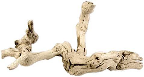 Koyal Natural Grapewood Vine Branch, 6-Inch | Amazon (US)