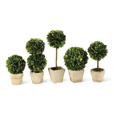 Buy Artificial Plants Online at Overstock | Our Best Decorative Accessories Deals | Bed Bath & Beyond
