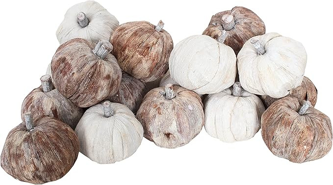 Dried Exotics Pumpkins 18 Pieces White/Natural Assorted 9"x6"x5" for Bowl or Vase Filler | Amazon (US)