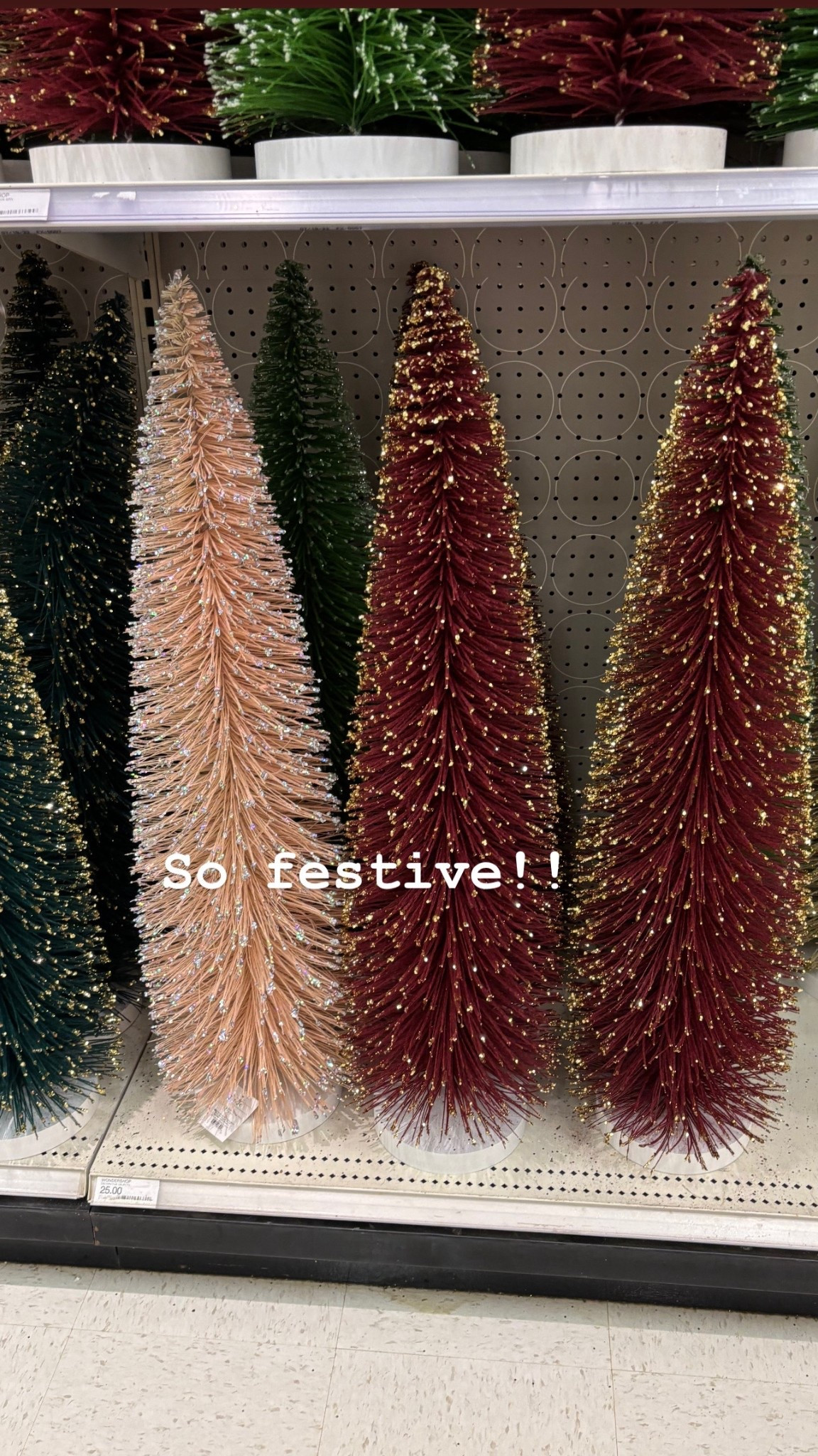 Festive bottle, brush trees


#LTKFindsUnder50 #LTKHome #LTKHoliday