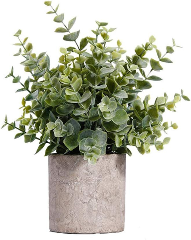 HC STAR Artificial Plant Potted Mini Fake Plant Decorative Lifelike Flower Green Plants | Amazon (US)