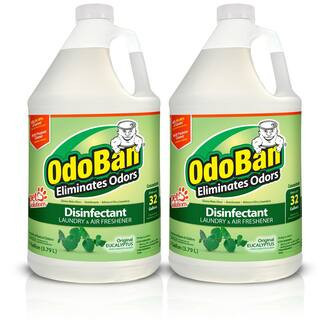 1 Gal. Eucalyptus Disinfectant and Odor Eliminator, Fabric Freshener, Mold Control, Multi-Purpose Concentrate (2-Pack) | The Home Depot