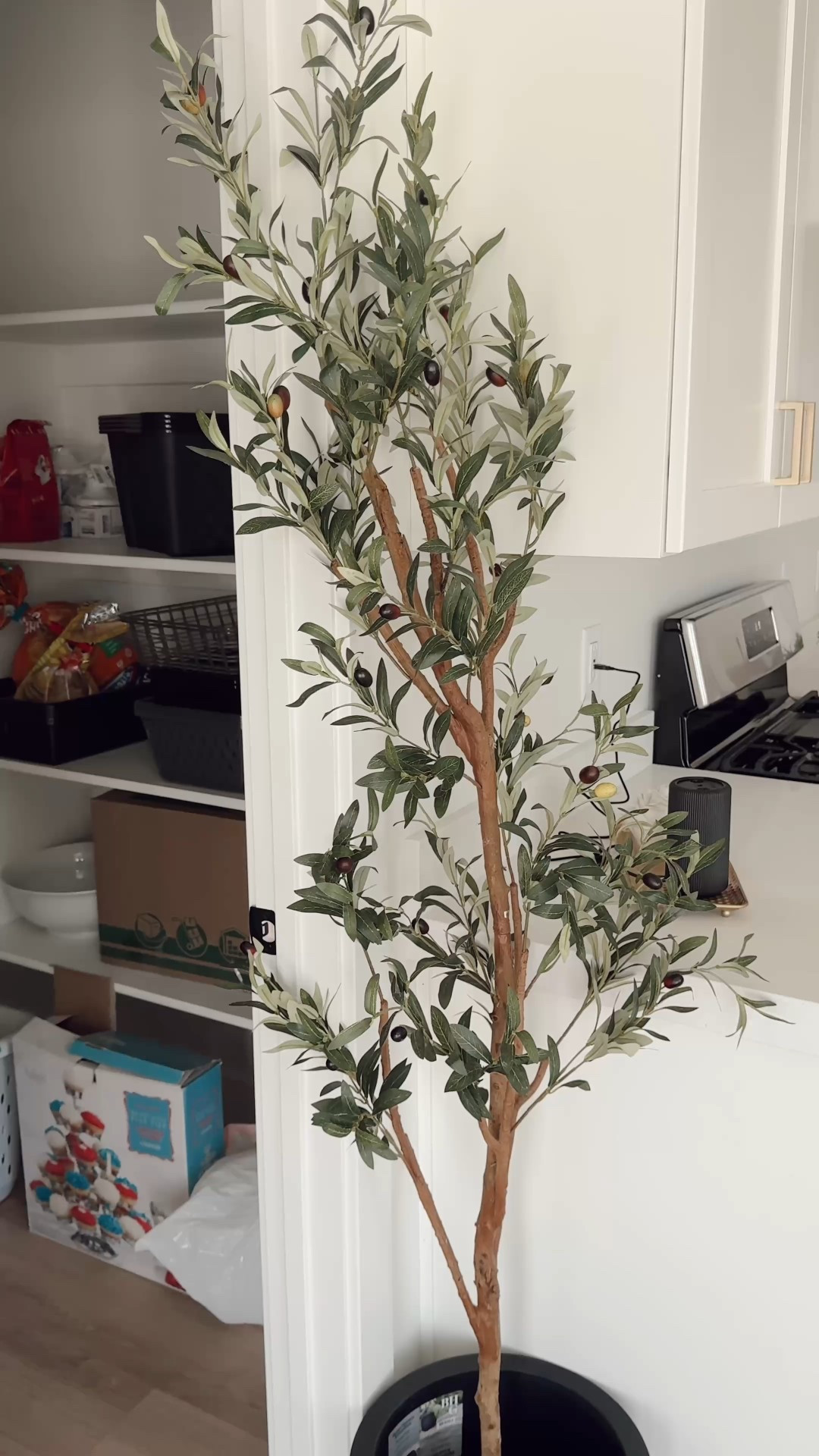 The most beautiful faux olive tree & planter pot from Walmart! 

#LTKStyleTip #LTKFindsUnder50 #LTKHome