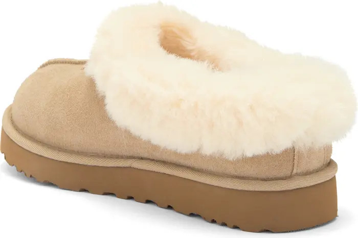 Tazzette Genuine Shearling Collar Slipper (Women) | Nordstrom