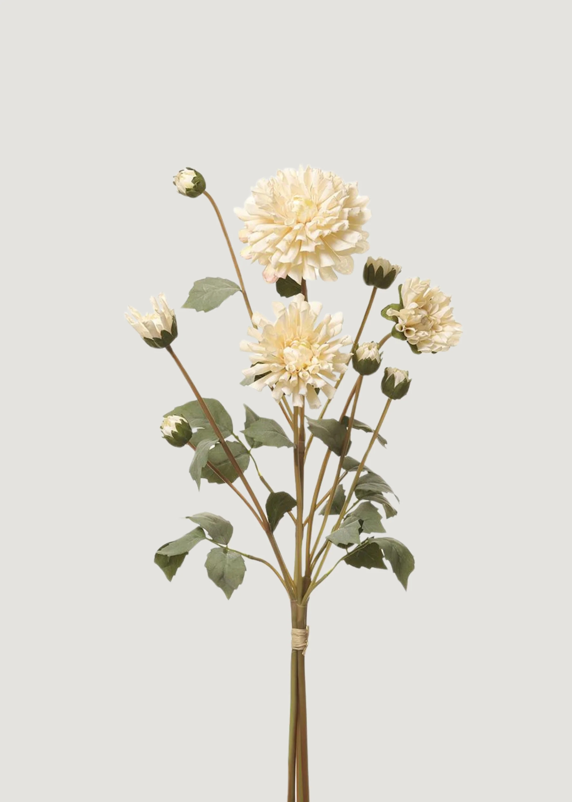 Cream Faux Dahlia Flower Bundle - 23" | Afloral