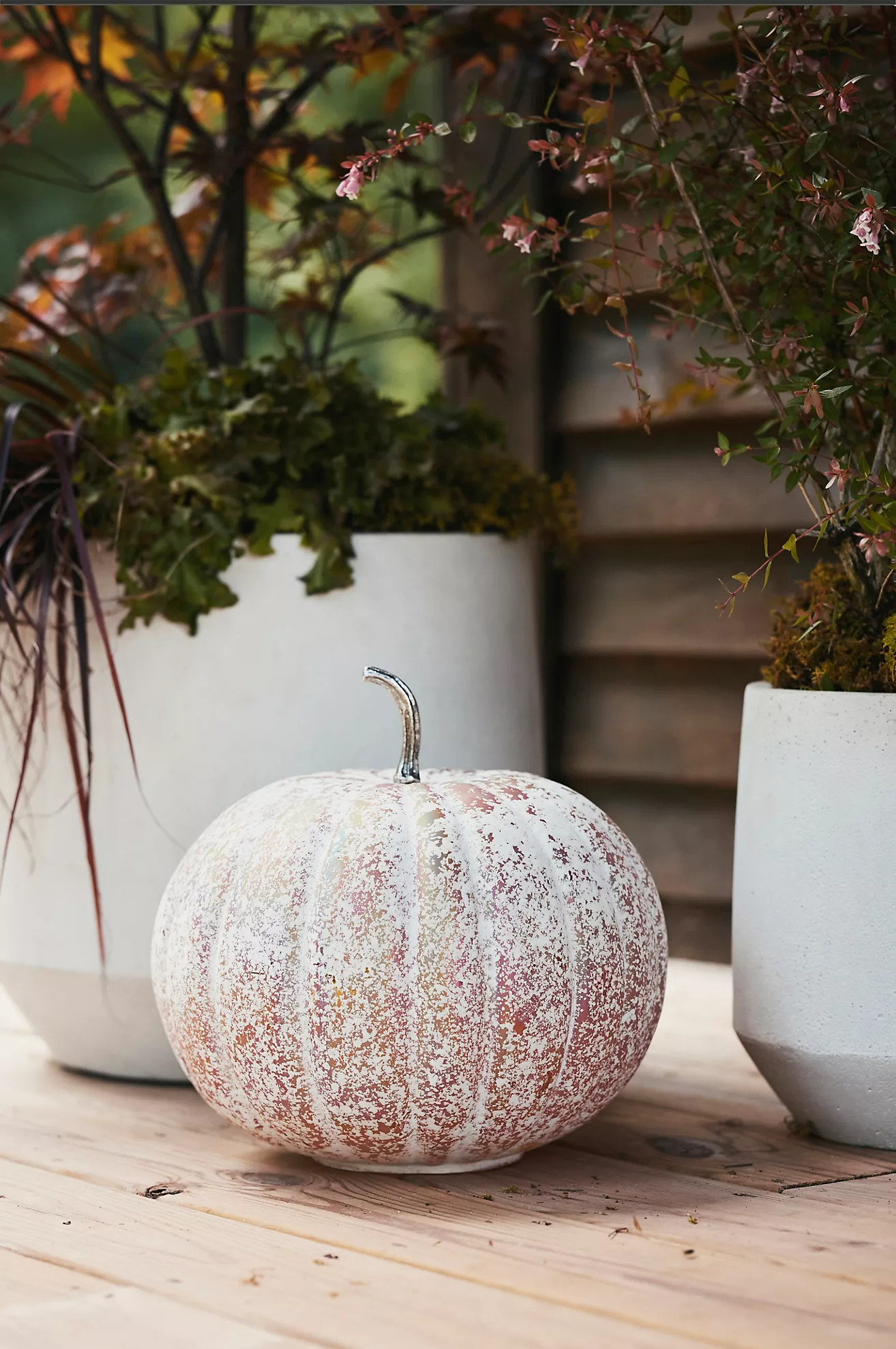 Frosted Glass Pumpkin, 12" | Terrain